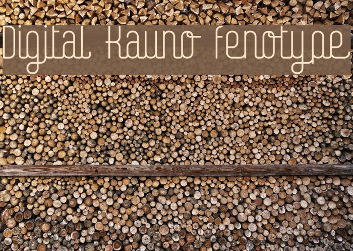 Digital Kauno fenotype Font examples