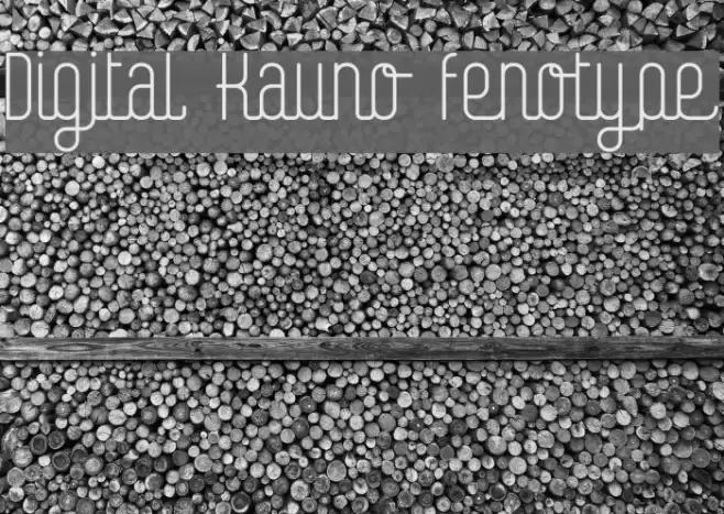 Digital Kauno fenotype フォント examples