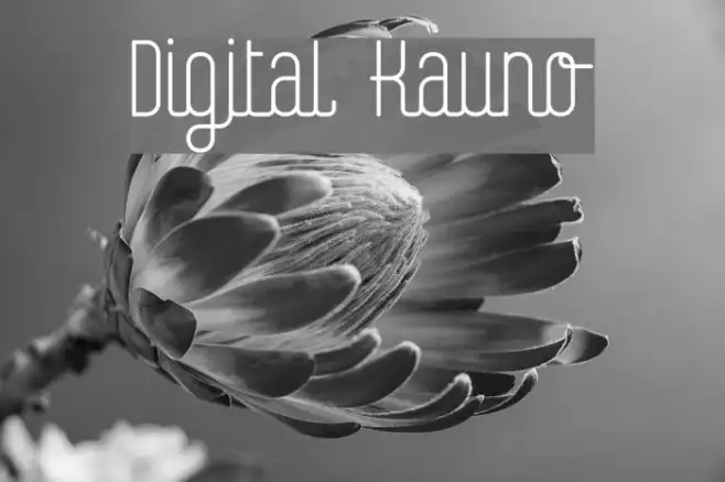 Digital Kauno Example 1
