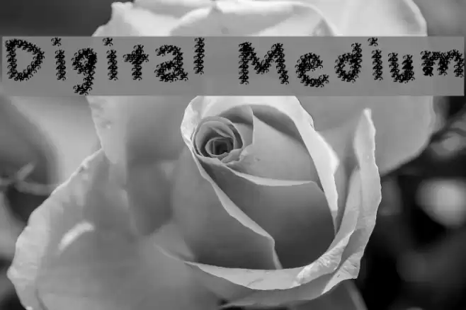 Digital Medium Font examples