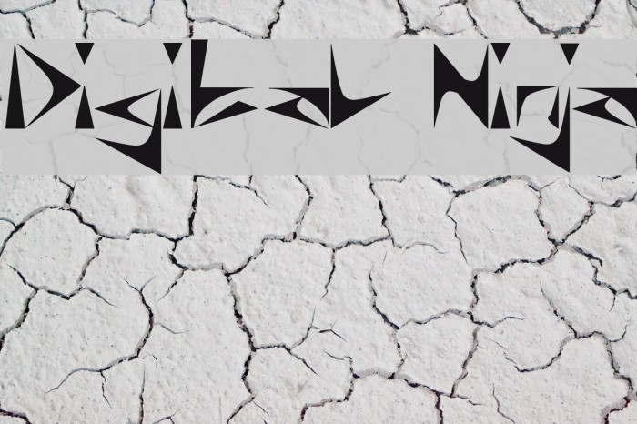 Digital Ninja Font examples