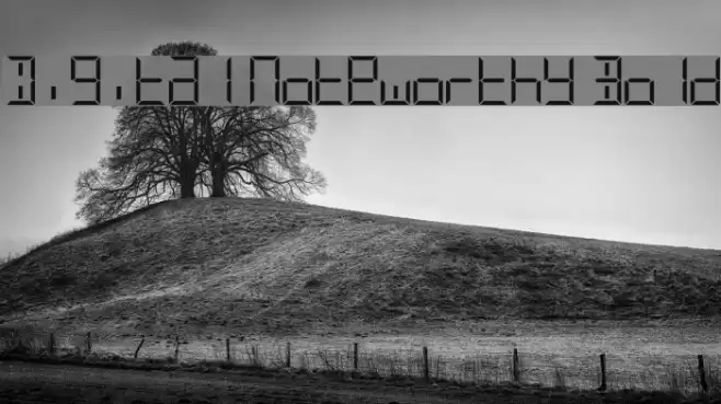 Digital Noteworthy Bold Font examples