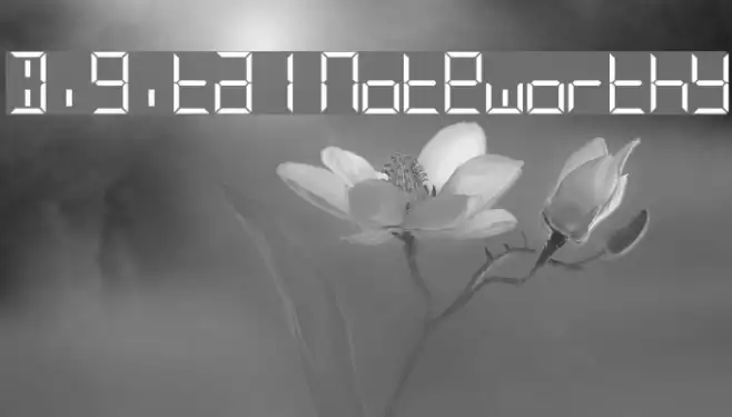 Digital Noteworthy Example 1