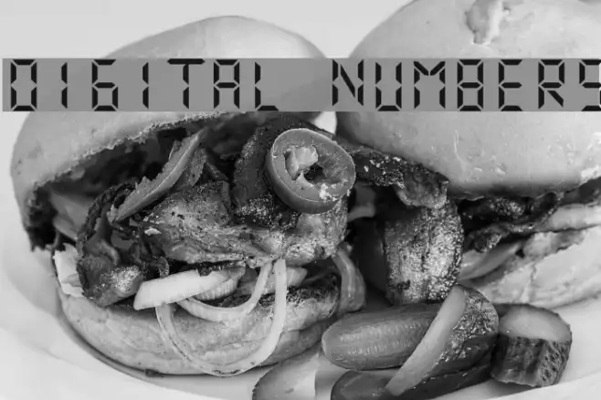 Digital Numbers Example 1