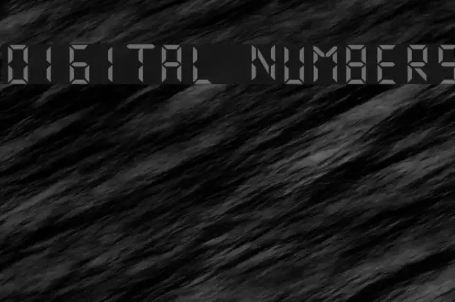 Digital Numbers Example 3