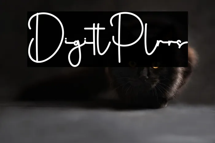 Digital Planers Example 1