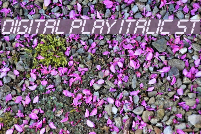 Digital Play Italic St Font examples