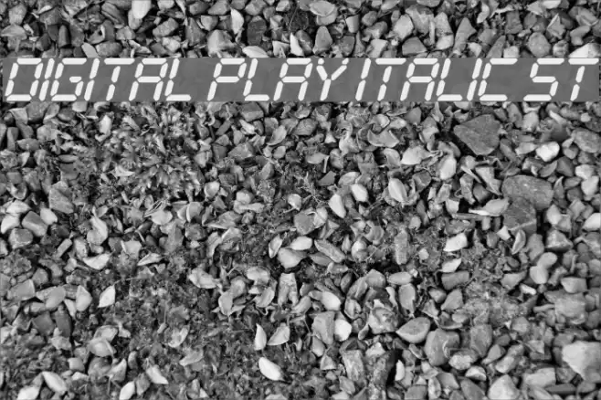 Digital Play Italic St フォント examples