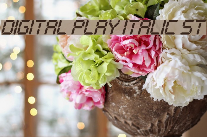 Digital Play Italic St Font examples
