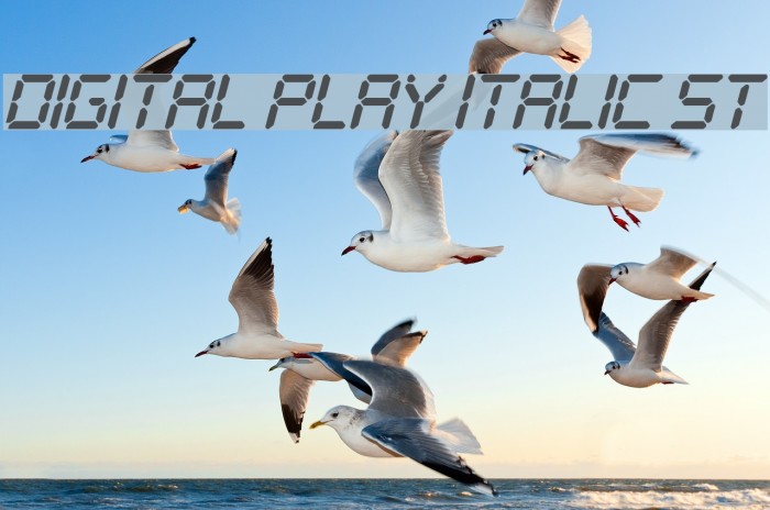 Digital Play Italic St Font examples