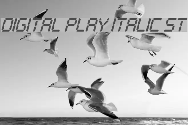 Digital Play Italic St フォント examples