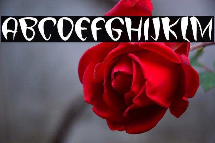 Digital Preasure Example 3