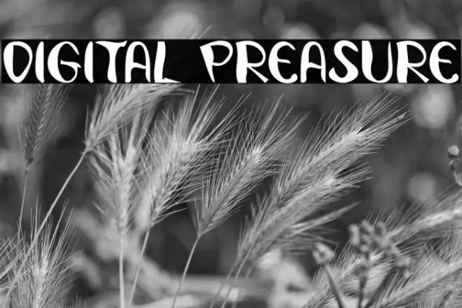 Digital Preasure Font examples