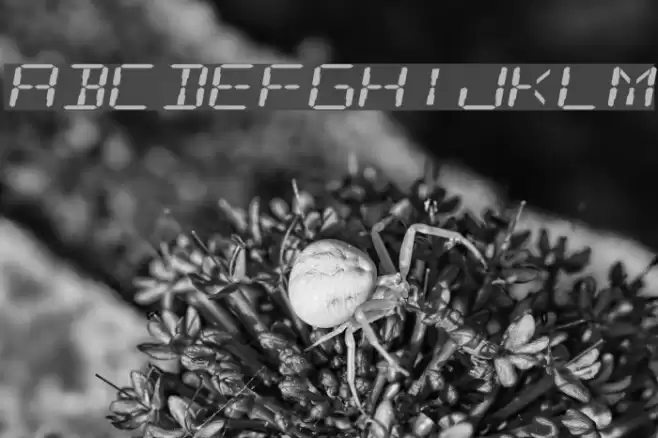 Digital Readout Expanded Font examples