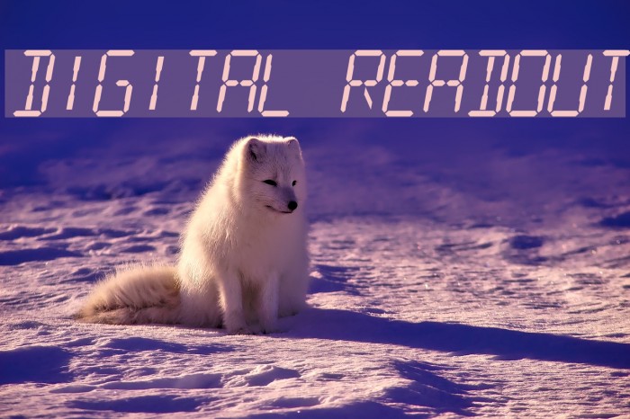 Digital Readout Polices examples