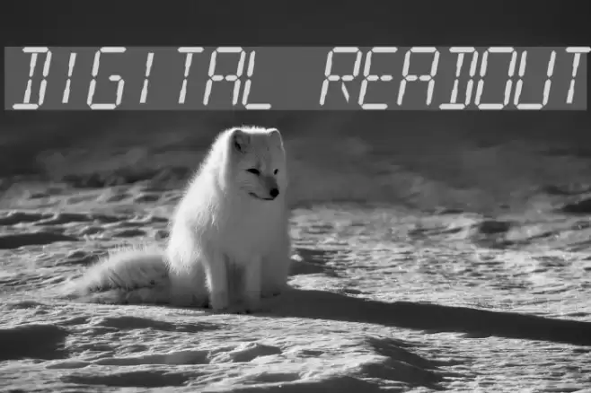 Digital Readout Шрифта examples