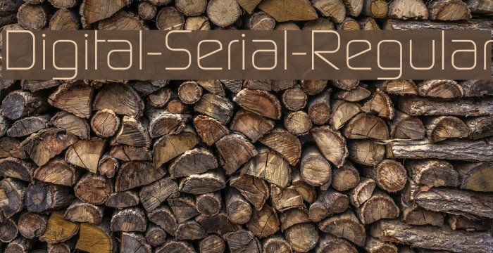 Digital-Serial-Regular Font examples