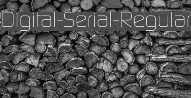 Digital-Serial-Regular Example 2