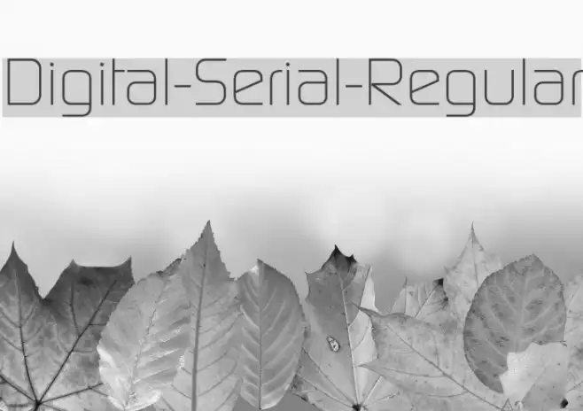 Digital-Serial-Regular Example 3