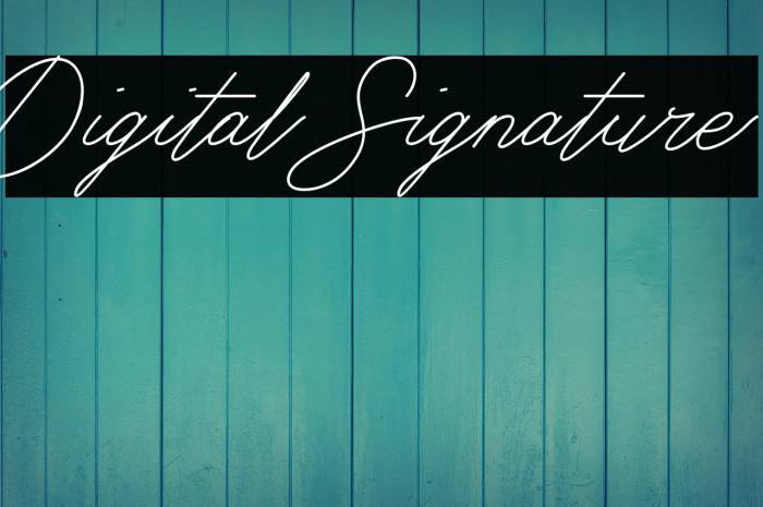 Digital Signature Example 1