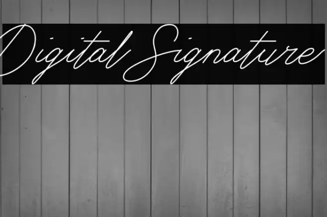 Digital Signature Example 1