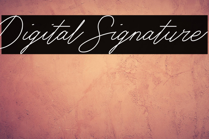 Digital Signature Example 2