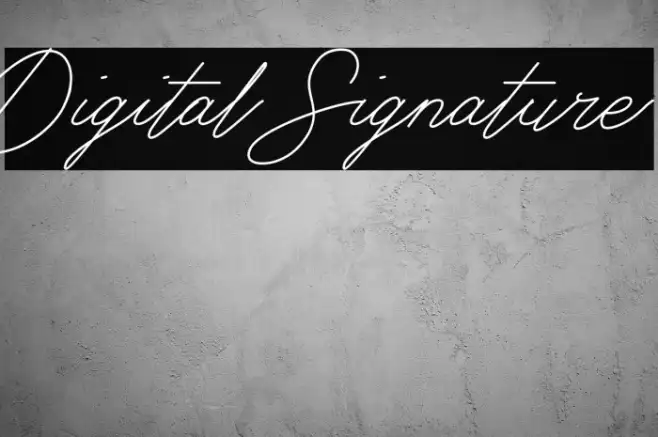 Digital Signature Example 2