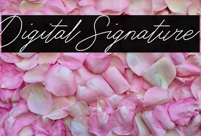 Digital Signature Example 3