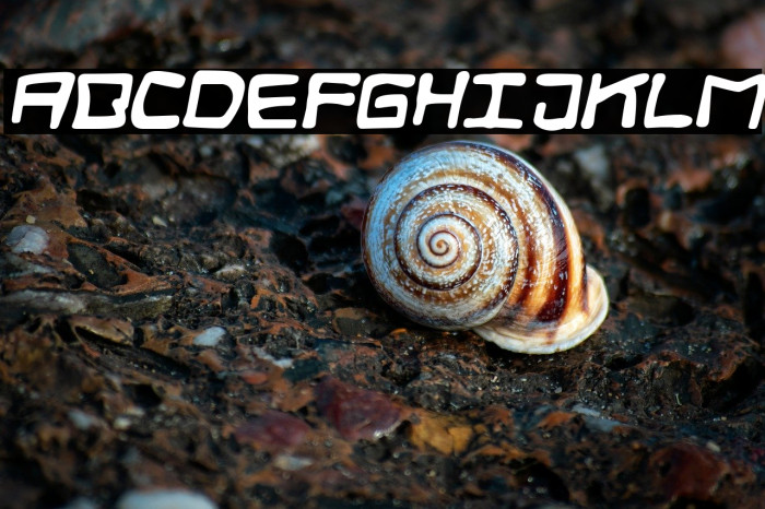 Digital Squiggle Italic Example 2