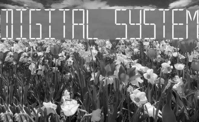 Digital System Font examples