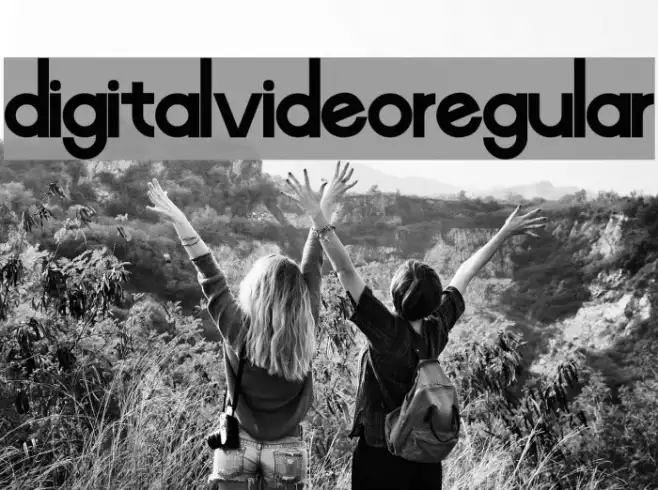 Digital-Video-Regular Example 2