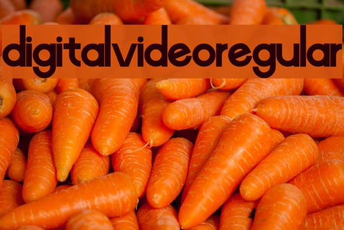 Digital-Video-Regular Font examples