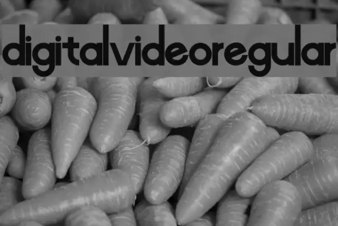 Digital-Video-Regular Example 3