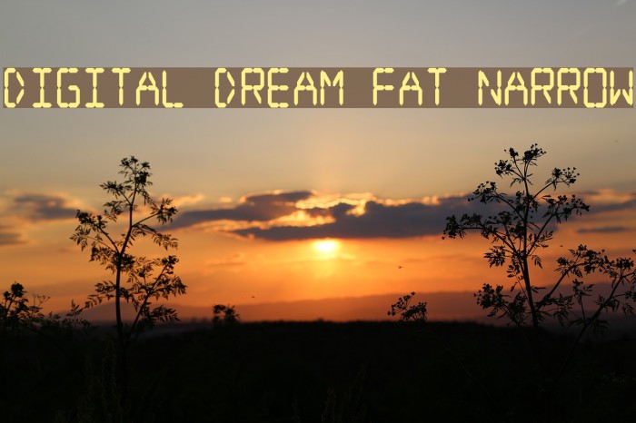 Digital dream Fat Narrow Font examples