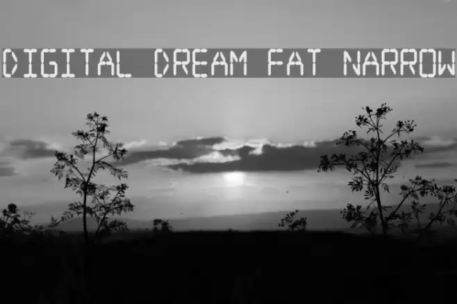 Digital dream Fat Narrow خط examples