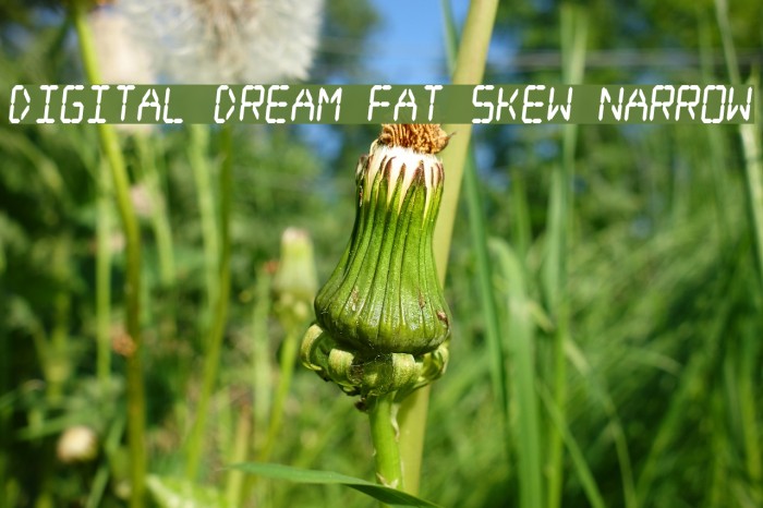 Digital dream Fat Skew Narrow Font examples