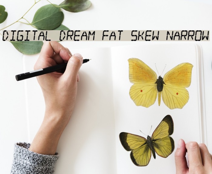 Digital dream Fat Skew Narrow Font examples