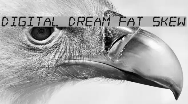Digital dream Fat Skew Font examples