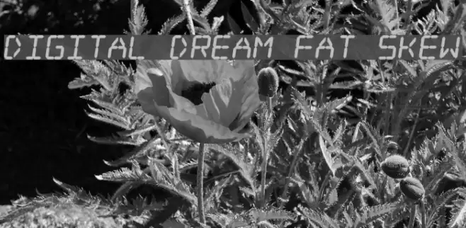 Digital dream Fat Skew Font examples