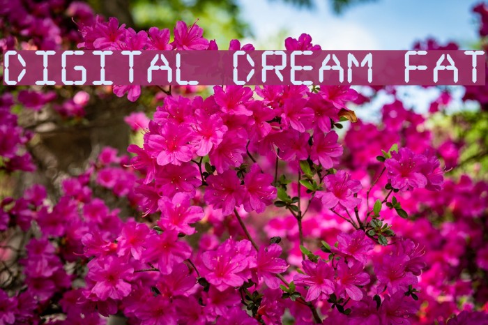 Digital dream Fat Font examples