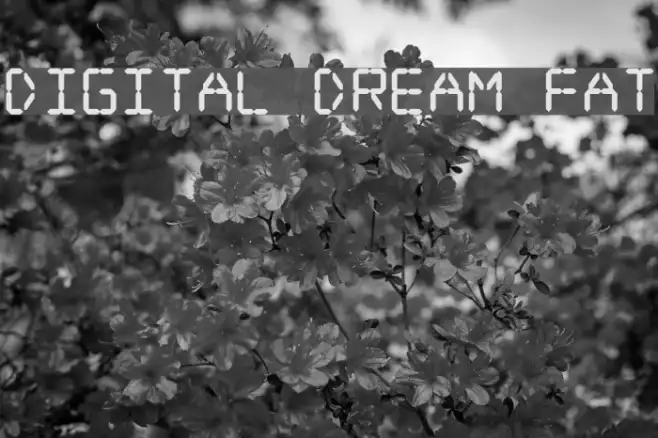 Digital dream Fat Example 3