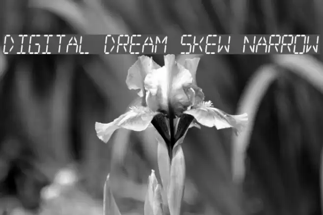 Digital dream Skew Narrow फ़ॉन्ट examples