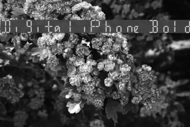 Digital iPhone Bold Font examples