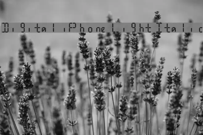 Digital iPhone Light Italic Font examples