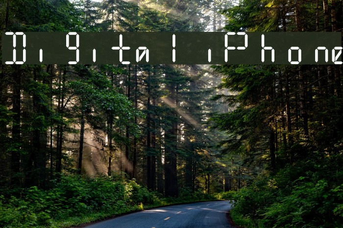 Digital iPhone Font examples