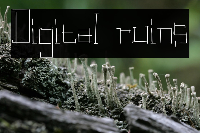 Digital ruins Example 1