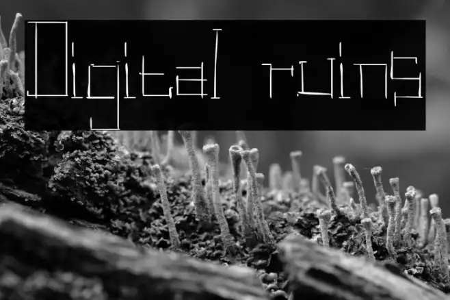 Digital ruins Example 1