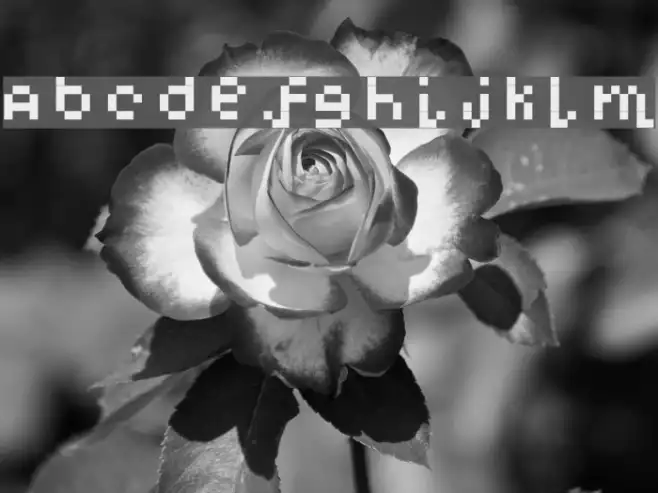 DigitalFun Example 2