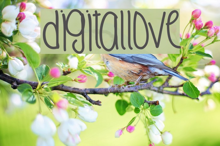 DigitalLove Fonte examples