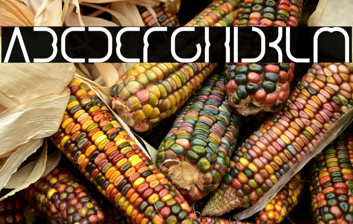 DigitalManBold-Bold Example 2